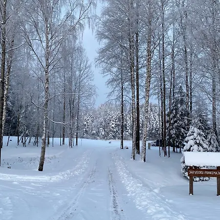 Holiday home Jaerveoru