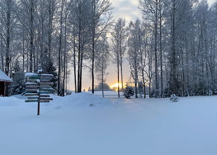 Σπίτι διακοπών Jaerveoru